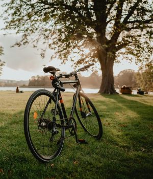 Bicycle Accident